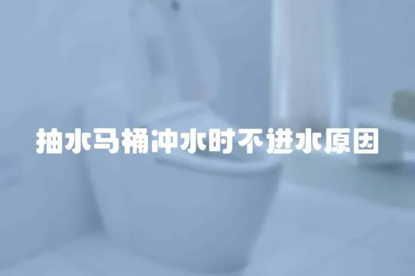 抽水馬桶沖水時不進水原因
