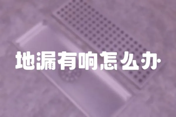 地漏有響怎么辦