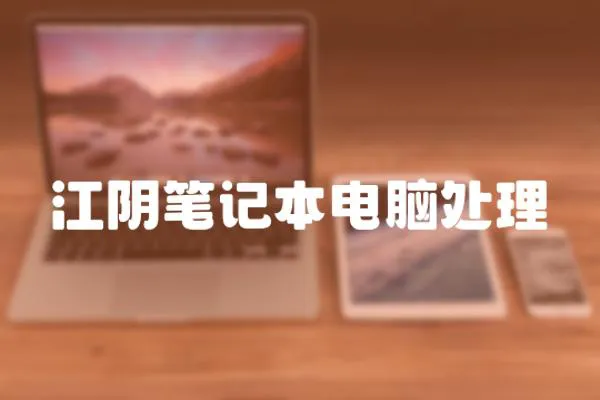 江陰筆記本電腦處理