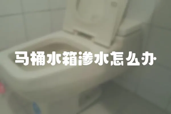 馬桶水箱滲水怎么辦