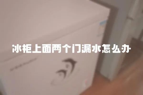 冰柜上面兩個門漏水怎么辦