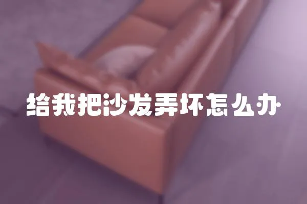 給我把沙發弄壞怎么辦