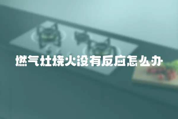 燃气灶烧火没有反应怎么办