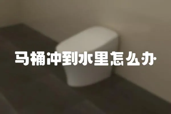 馬桶沖到水里怎么辦