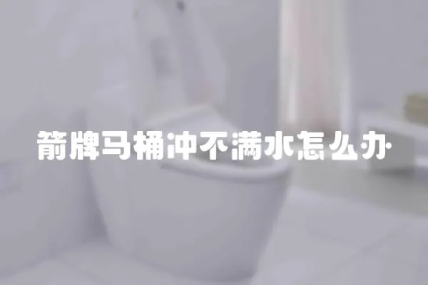 箭牌馬桶沖不滿水怎么辦
