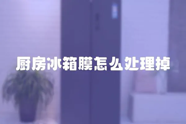 廚房冰箱膜怎么處理掉