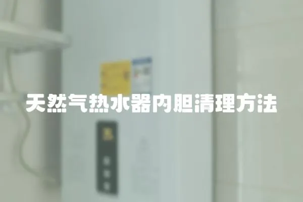 天然氣熱水器內膽清理方法