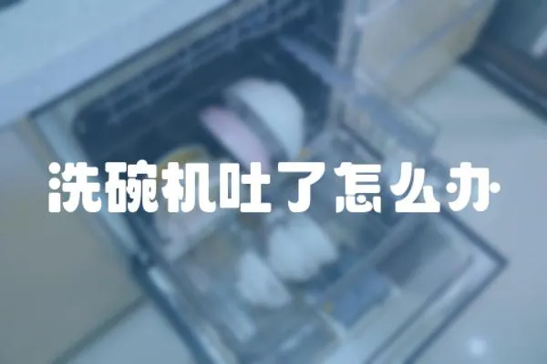 洗碗機吐了怎么辦