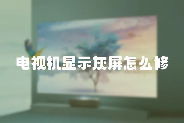 電視機顯示灰屏怎么修