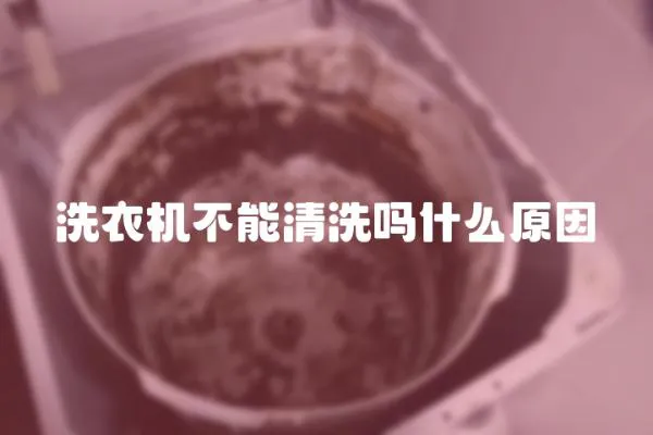 洗衣機不能清洗嗎什么原因