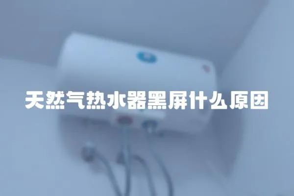 天然氣熱水器黑屏什么原因