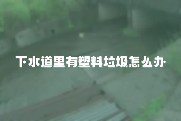 下水道里有塑料垃圾怎么辦