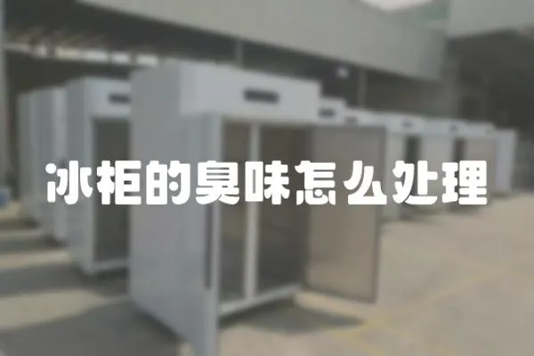 冰柜的臭味怎么處理