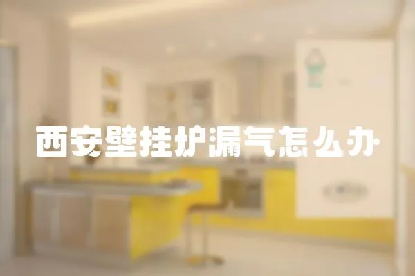 西安壁掛爐漏氣怎么辦