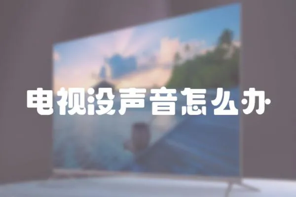 電視沒聲音怎么辦