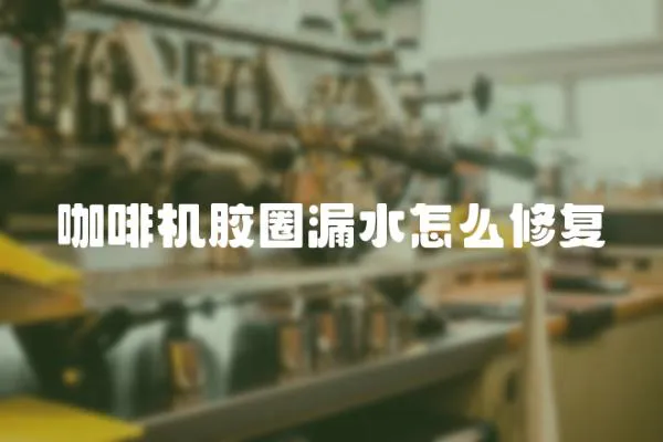 咖啡機膠圈漏水怎么修復