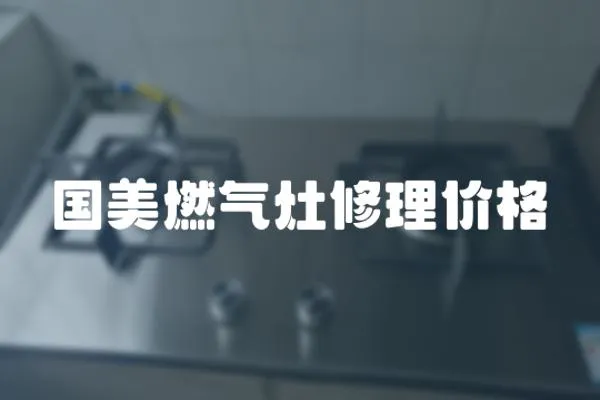 國(guó)美燃?xì)庠钚蘩韮r(jià)格