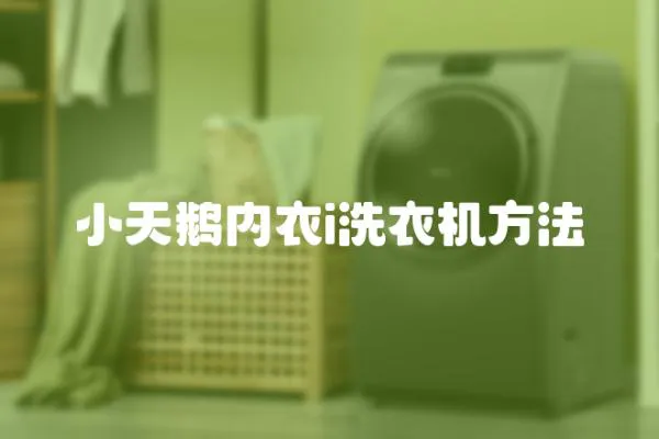 小天鵝內衣i洗衣機方法