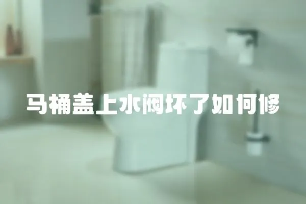 馬桶蓋上水閥壞了如何修