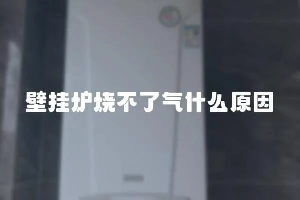 壁掛爐燒不了氣什么原因