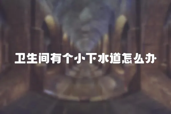衛生間有個小下水道怎么辦
