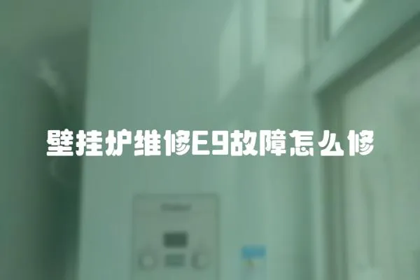 壁挂炉维修E9故障怎么修