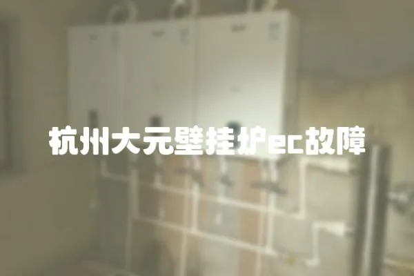 杭州大元壁掛爐ec故障