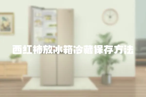 西紅柿放冰箱冷藏保存方法