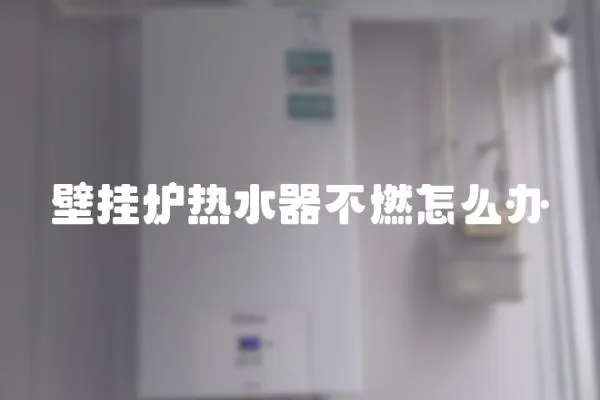 壁掛爐熱水器不燃怎么辦