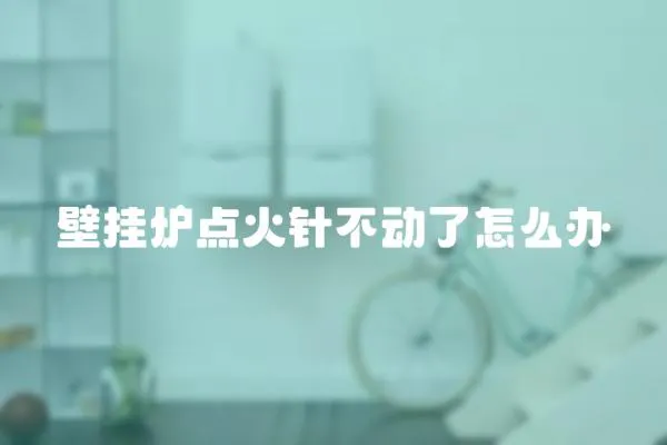壁掛爐點火針不動了怎么辦