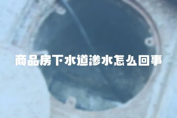 商品房下水道滲水怎么回事