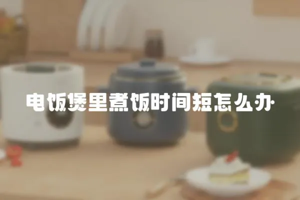 電飯煲里煮飯時間短怎么辦