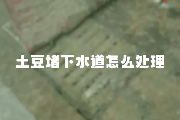 土豆堵下水道怎么處理