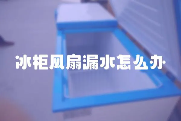 冰柜風(fēng)扇漏水怎么辦