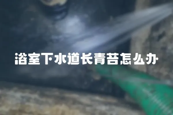 浴室下水道長(zhǎng)青苔怎么辦