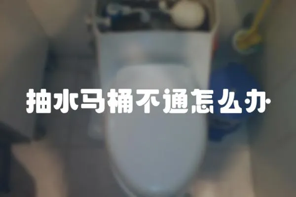 抽水馬桶不通怎么辦