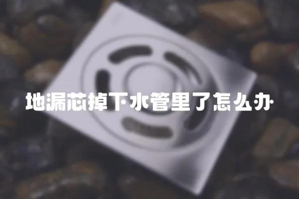 地漏芯掉下水管里了怎么辦