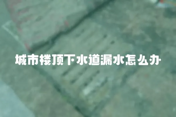 城市樓頂下水道漏水怎么辦