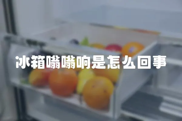 冰箱嗡嗡響是怎么回事