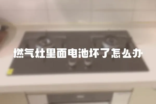 燃?xì)庠罾锩骐姵貕牧嗽趺崔k