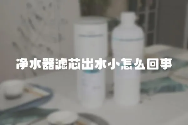 净水器滤芯出水小怎么回事