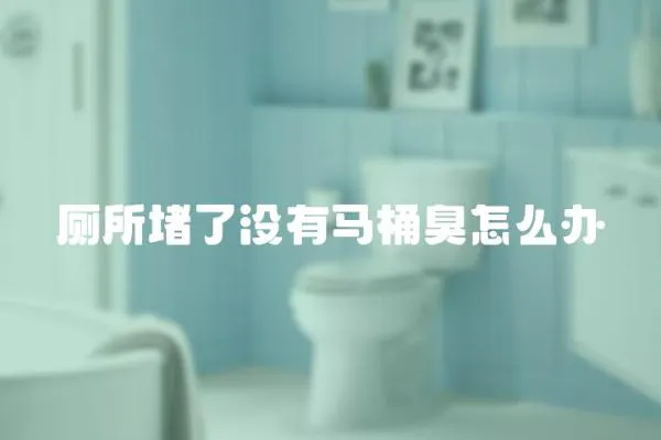 廁所堵了沒有馬桶臭怎么辦