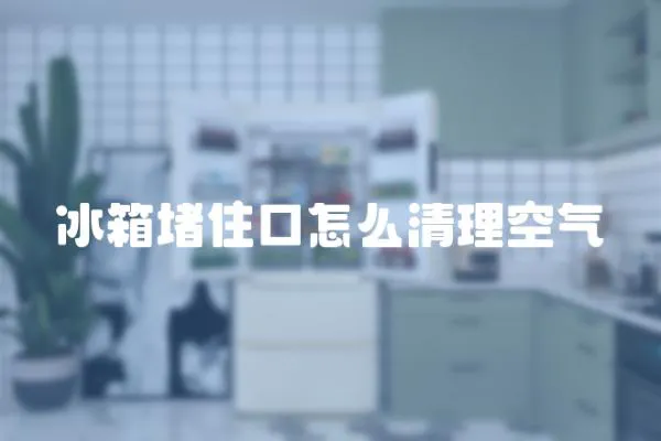 冰箱堵住口怎么清理空氣