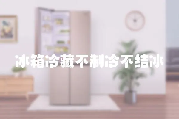 冰箱冷藏不制冷不結(jié)冰