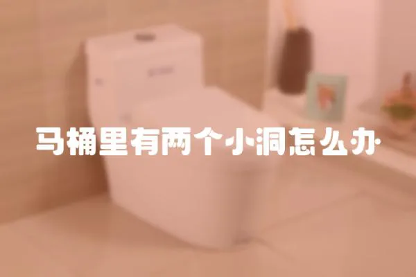 馬桶里有兩個(gè)小洞怎么辦