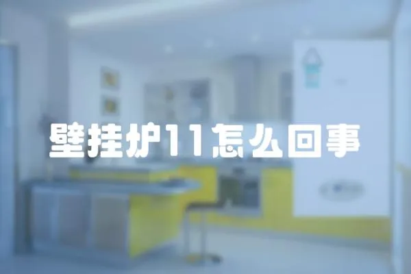 壁掛爐11怎么回事