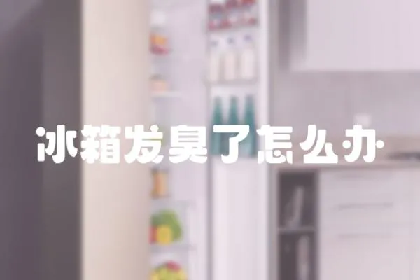 冰箱發臭了怎么辦