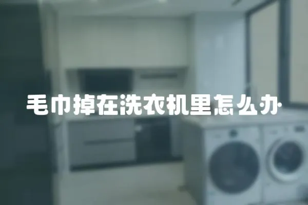 毛巾掉在洗衣機里怎么辦