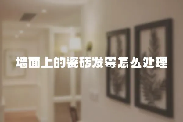 墻面上的瓷磚發霉怎么處理