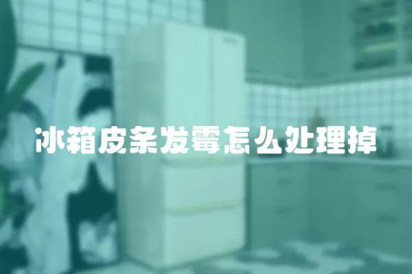 冰箱皮條發霉怎么處理掉